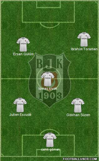 Besiktas JK Formation 2013