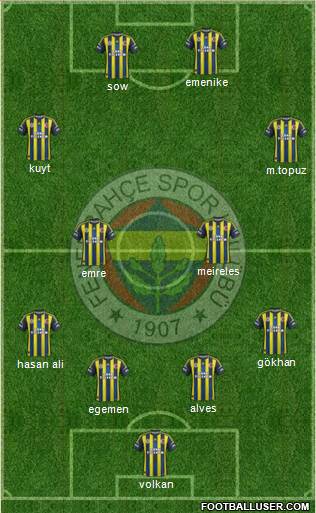 Fenerbahçe SK Formation 2013