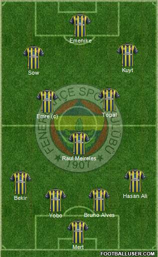 Fenerbahçe SK Formation 2013
