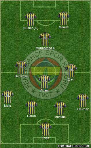 Fenerbahçe SK Formation 2013