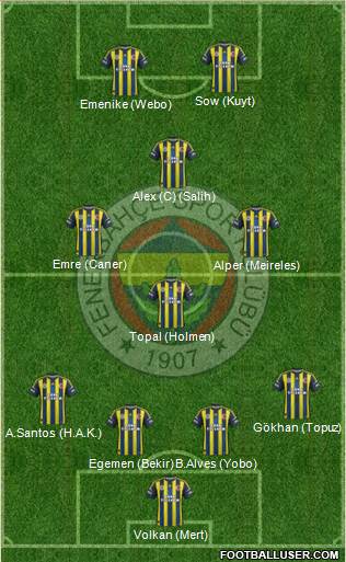 Fenerbahçe SK Formation 2013
