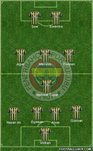 Fenerbahçe SK Formation 2013