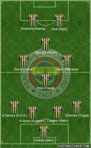 Fenerbahçe SK Formation 2013