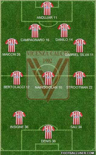 Vicenza Formation 2013