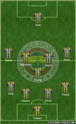 Fenerbahçe SK Formation 2013