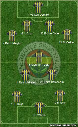 Fenerbahçe SK Formation 2013