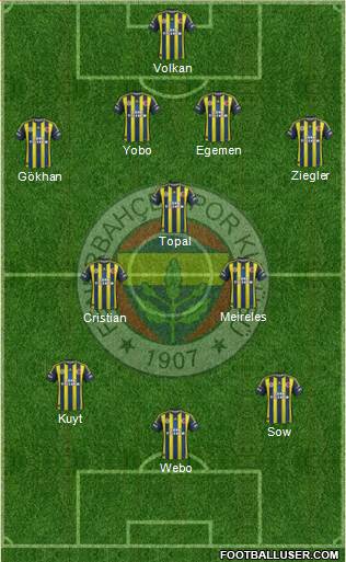Fenerbahçe SK Formation 2013