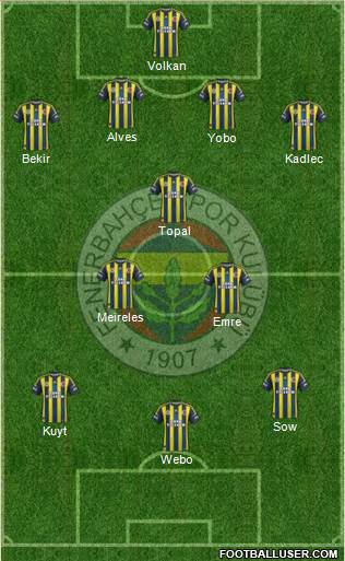 Fenerbahçe SK Formation 2013