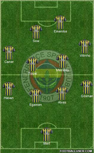 Fenerbahçe SK Formation 2013