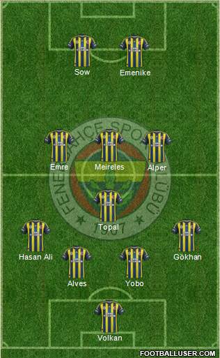 Fenerbahçe SK Formation 2013