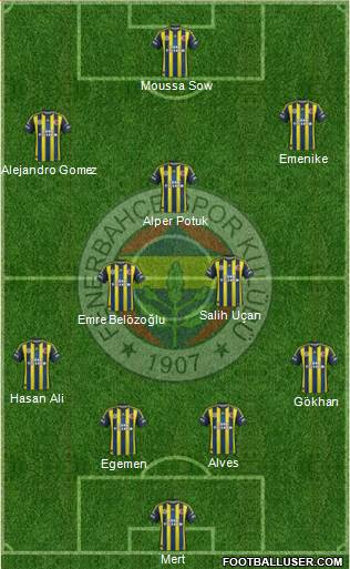 Fenerbahçe SK Formation 2013