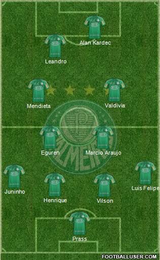 SE Palmeiras Formation 2013