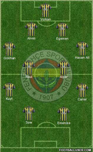 Fenerbahçe SK Formation 2013