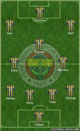 Fenerbahçe SK Formation 2013