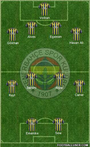Fenerbahçe SK Formation 2013