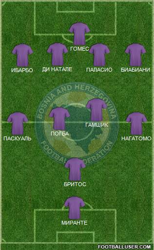 Bosnia and Herzegovina Formation 2013