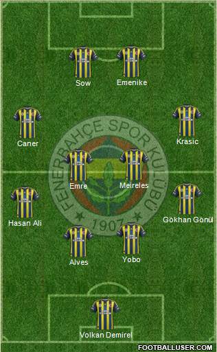 Fenerbahçe SK Formation 2013