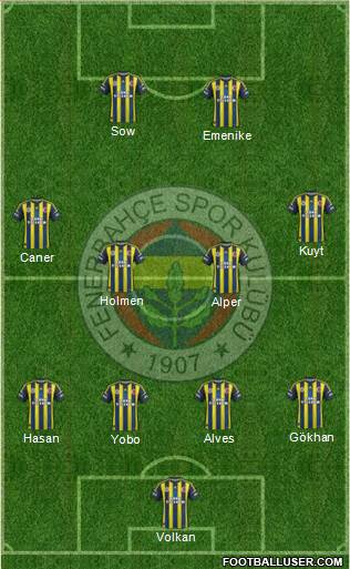 Fenerbahçe SK Formation 2013