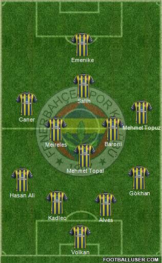 Fenerbahçe SK Formation 2013