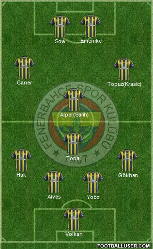 Fenerbahçe SK Formation 2013