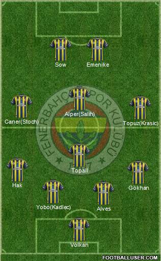 Fenerbahçe SK Formation 2013