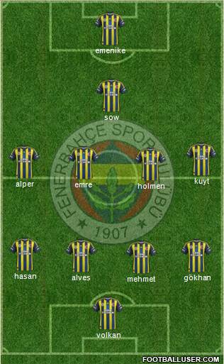 Fenerbahçe SK Formation 2013