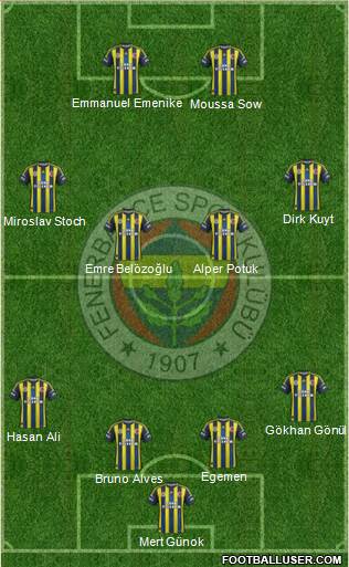 Fenerbahçe SK Formation 2013