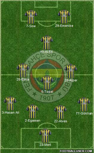 Fenerbahçe SK Formation 2013