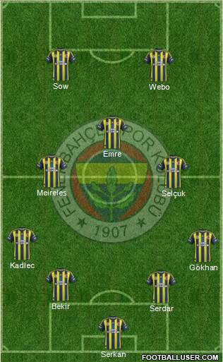 Fenerbahçe SK Formation 2013