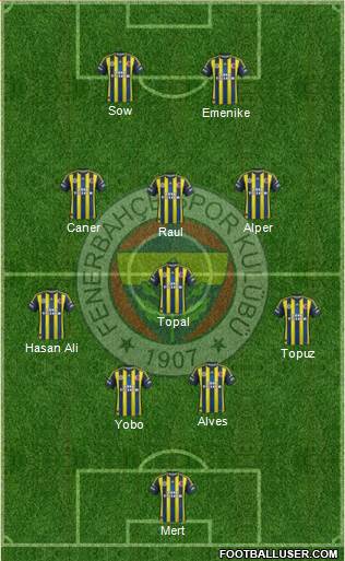 Fenerbahçe SK Formation 2013