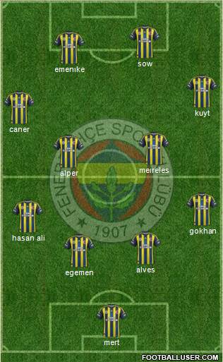 Fenerbahçe SK Formation 2013