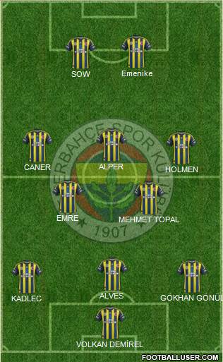 Fenerbahçe SK Formation 2013