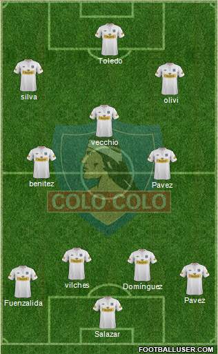 CSD Colo Colo Formation 2013