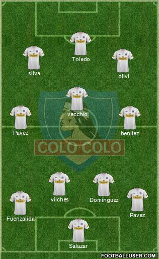 CSD Colo Colo Formation 2013