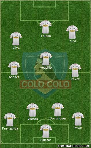 CSD Colo Colo Formation 2013