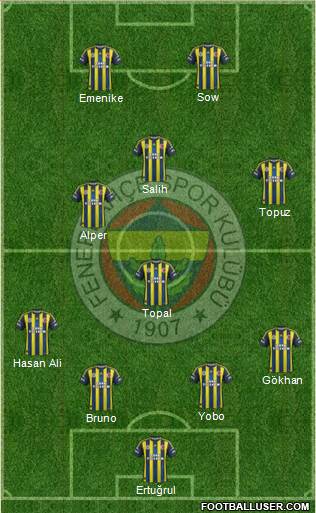 Fenerbahçe SK Formation 2013