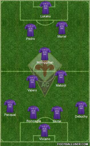 Fiorentina Formation 2013