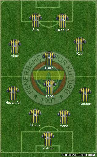 Fenerbahçe SK Formation 2013