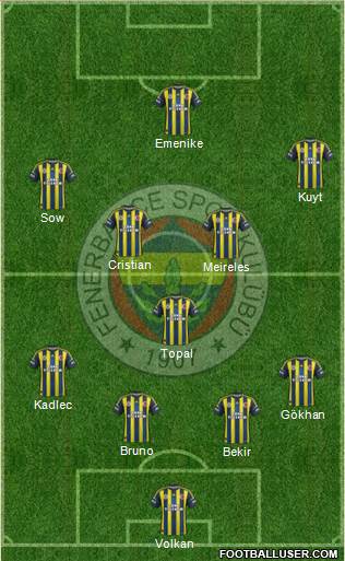 Fenerbahçe SK Formation 2013