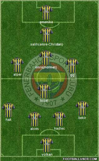 Fenerbahçe SK Formation 2013