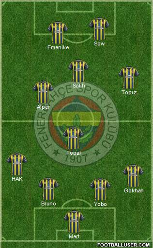Fenerbahçe SK Formation 2013