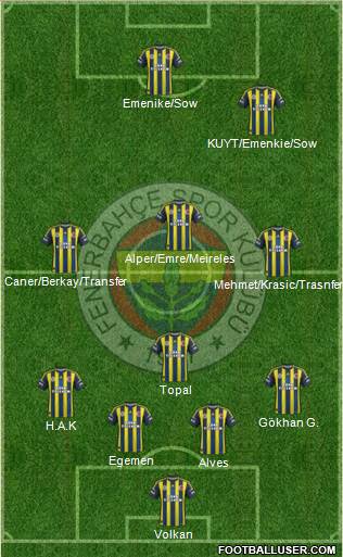 Fenerbahçe SK Formation 2013