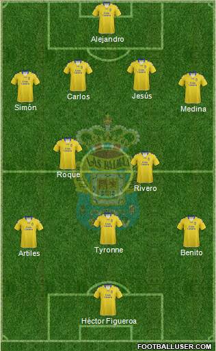 U.D. Las Palmas S.A.D. Formation 2013