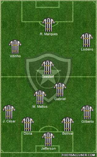 Botafogo FR Formation 2013