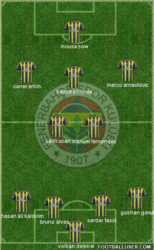 Fenerbahçe SK Formation 2013