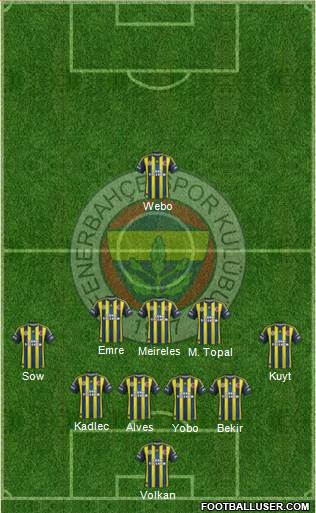 Fenerbahçe SK Formation 2013