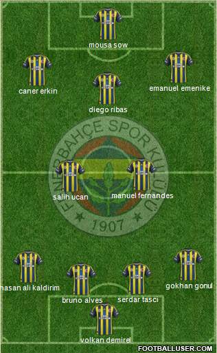 Fenerbahçe SK Formation 2013