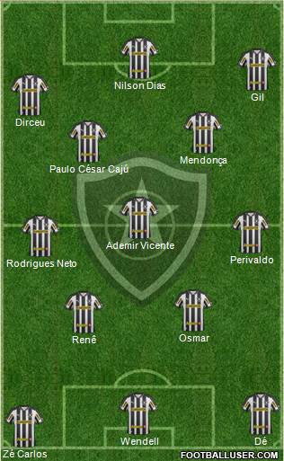 Botafogo FR Formation 2013