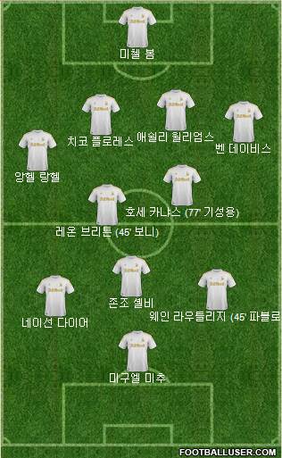 Swansea City Formation 2013
