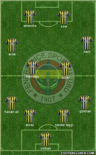 Fenerbahçe SK Formation 2013